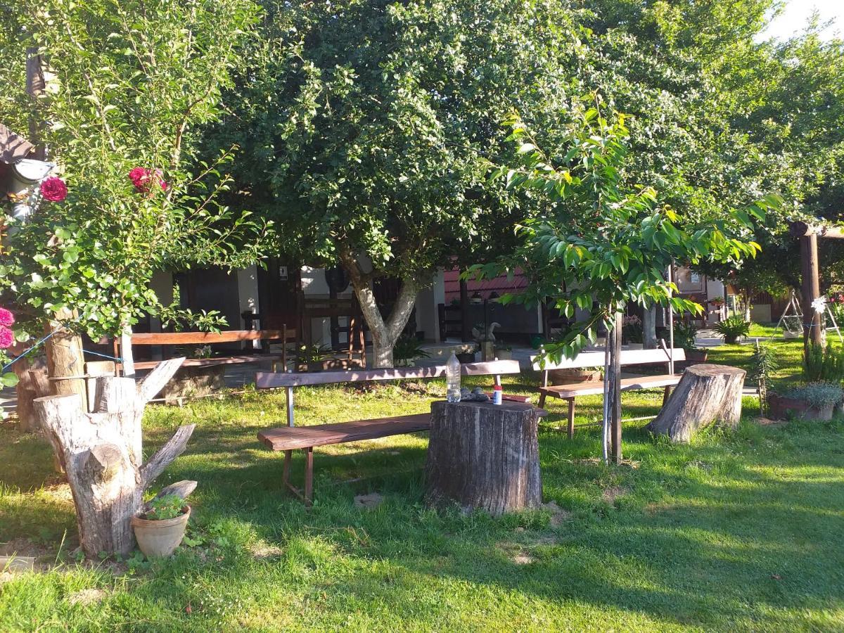 Camping Lukac Kutina Εξωτερικό φωτογραφία