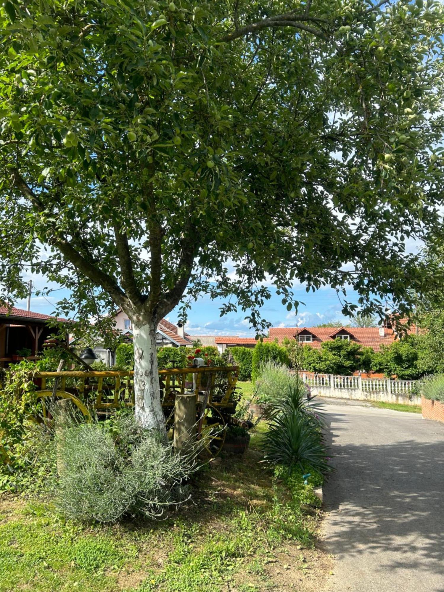 Camping Lukac Kutina Εξωτερικό φωτογραφία