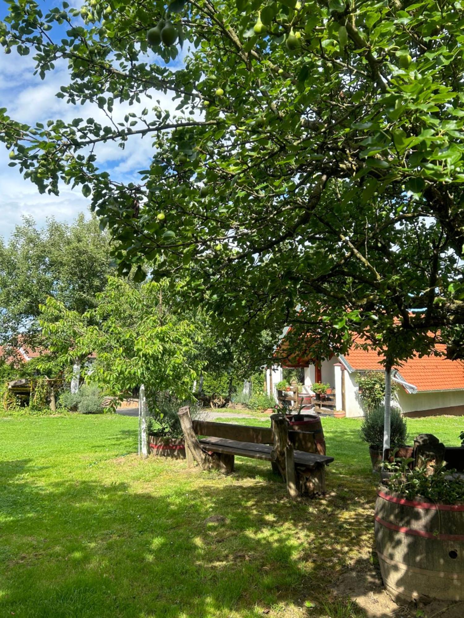 Camping Lukac Kutina Εξωτερικό φωτογραφία